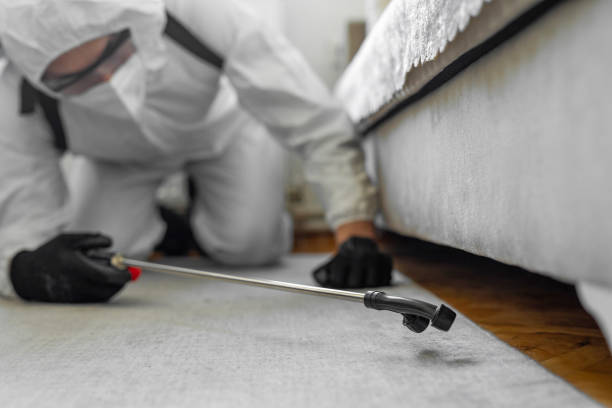 Professional Bed Bug Control technician working in Plainview, TX
